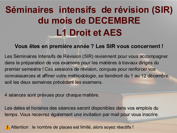 Affiche Séminaires intensifs de révision